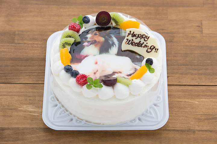 photocake01