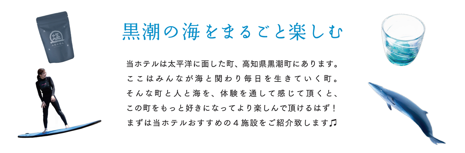 黒潮町の海をまるごと楽しむ
