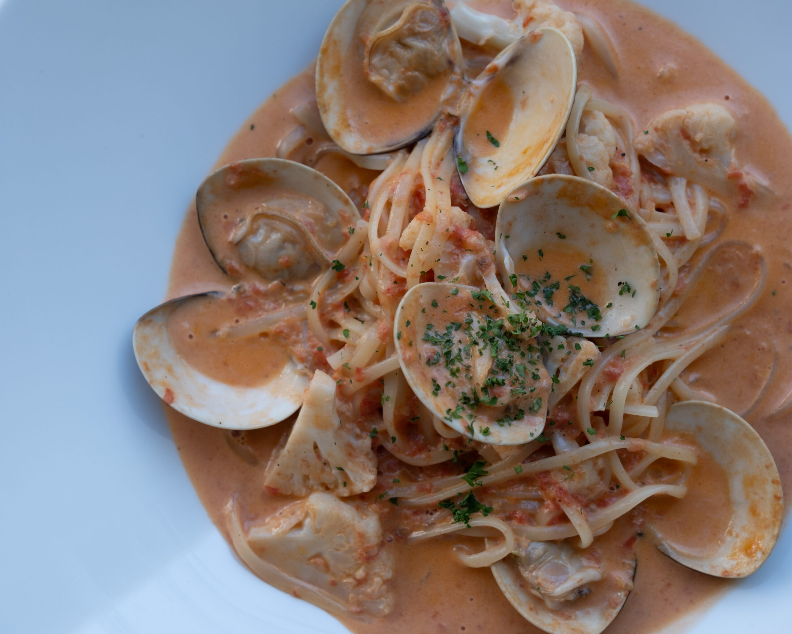 ハマグリとカリフラワーのトマトクリームソースパスタ